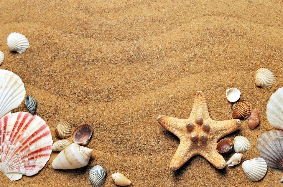 el origen de las chanclas el origen de las chanclas