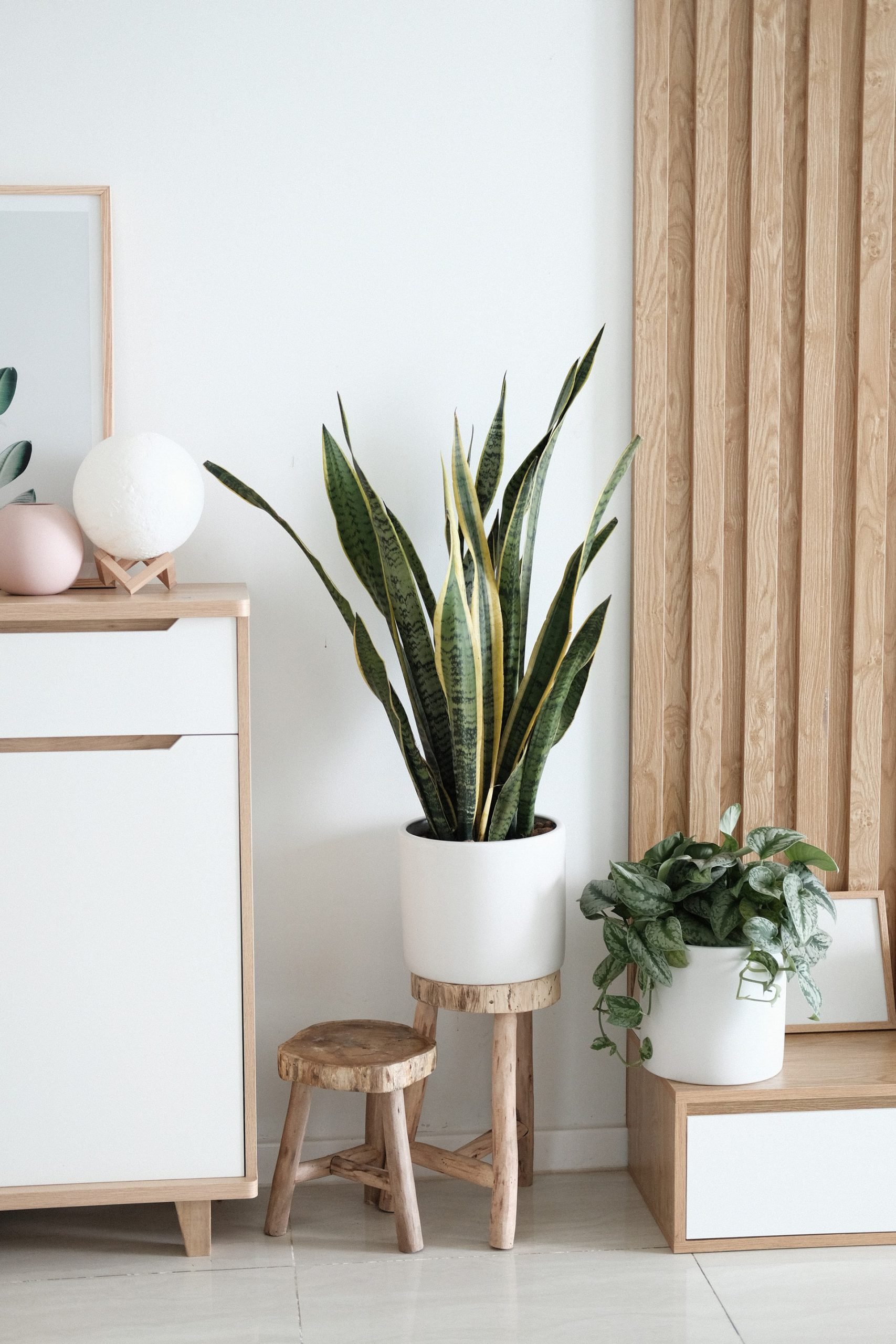 Tendencias de decoración para otoño 2020 Tendencias de decoración para otoño 2020
